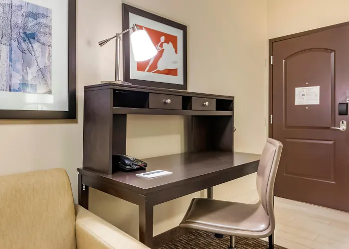 3 star hotel: Staybridge Suites St. Petersburg Fl By Ihg