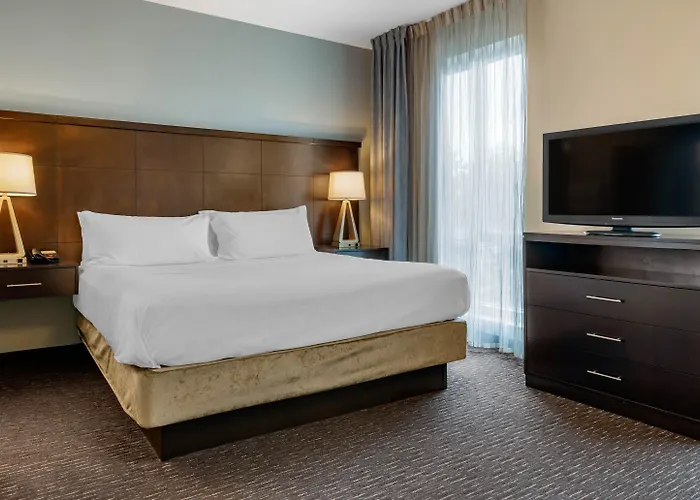 3 star hotel: Staybridge Suites St. Petersburg Fl By Ihg